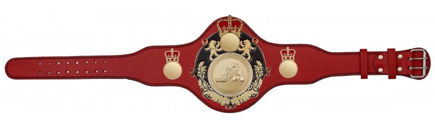 QUEENSBURY PLT LEATHER JIU JITSU CHAMPIONSHIP BELT - PLTQUEEN/B/G/JJG - AVAILABLE IN 4 COLOURS